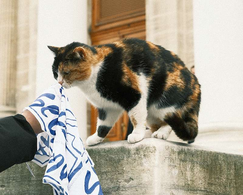 Mavi, İstanbul Arkeoloji Müzeleri ile Özel Koleksiyon Hazırladı