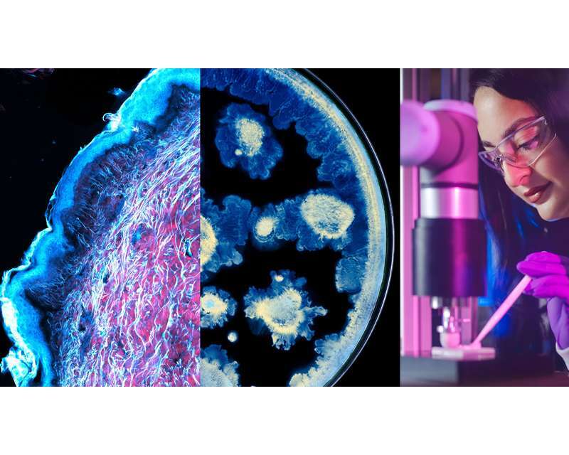 Güzellik ve Bilim Buluştu: L’Oréal ve Institut Pasteur’den Güç Birliği