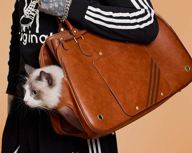 adidas Originals, Evcil Hayvan Modasına Yeni Bir Yorum Katıyor