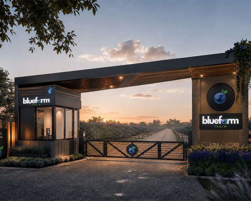 Bluefarm Tarım, 4,5 Milyon Euroluk Yatırımla Yaban Mersini Üretiminde Yeni Bir Dönem Başlatıyor
