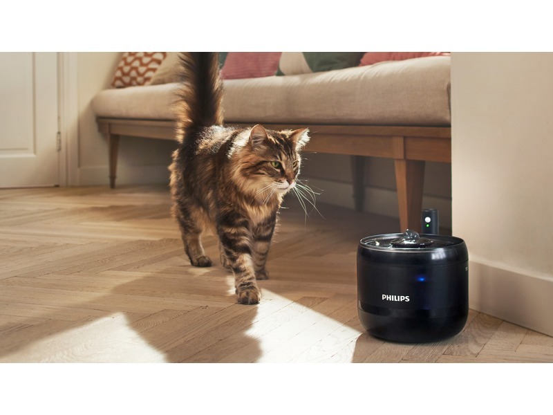 Philips Akıllı Mama Kabı ve Su Pınarı ile evcil hayvan bakımında konfor artıyor
