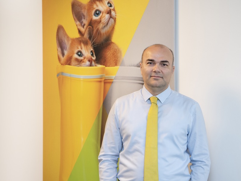 14 ülkede yapılan araştırma: Kedi sahipleri aşı konusunda ne kadar bilinçli?
