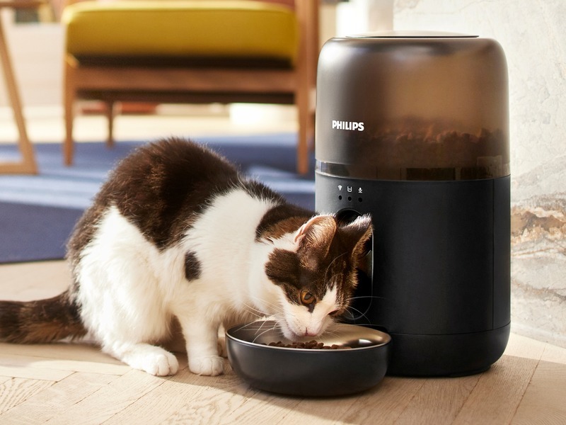 lazy